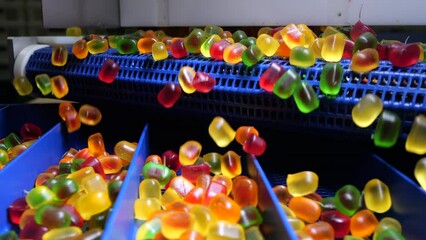 Conveyor for making jelly sweets at a confectionery factory. Confectionery equipment. Production equipment. - Powered by Adobe