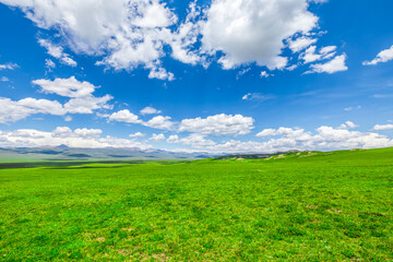 Green meadow and sky clouds nature landscape on a sunny day