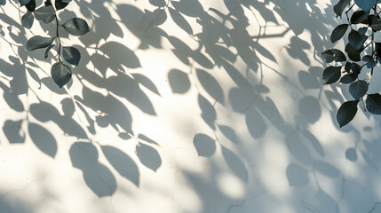 Shadow from tree leaves on an uneven sunlit white wall, background, backdrop for presentations