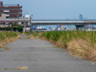 陽炎が立ちのぼる堤防の道路