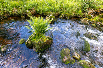Bodefall Bodefälle bei Braunlage im Harz