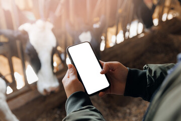 Mockup with white screen, modern technology of agriculture cattle 4.0 industry farming. Farmer uses phone app to monitor health care of cows, farm livestock. © Parilov