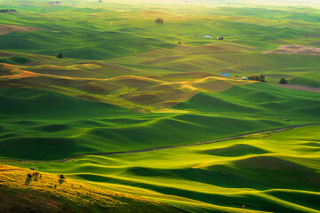 Rolling hills of the Palouse seen from Steptoe Butte