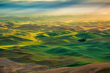 Dramatic morning light on the rolling hills of the Palouse seen from Steptoe Butte