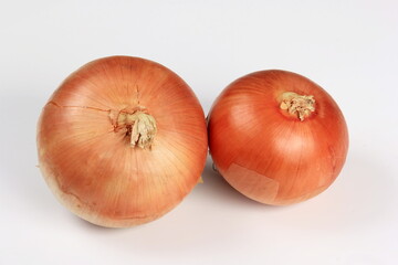 Two yellow onions on a white background