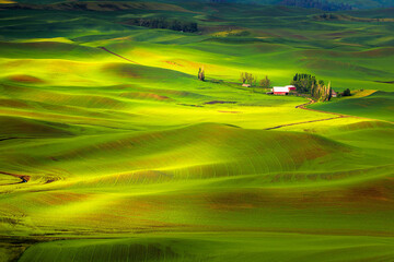 Fototapeta premium Red barn seen in the distant from Steptoe Butte in the Palouse
