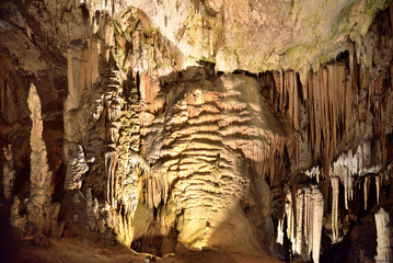 Postojna Cave is the most captivating cave in the world