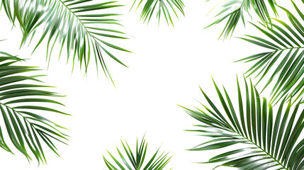 Fototapeta premium Tropical Leaves Frame with Center Copy Space - Isolated, Botanical Nature Concept