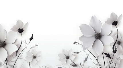 white flowers background