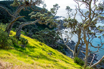 Mangawhai Cliff Walk - New Zealand