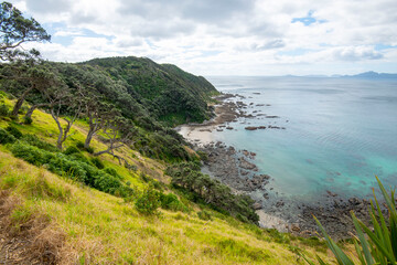 Mangawhai Cliff Walk - New Zealand