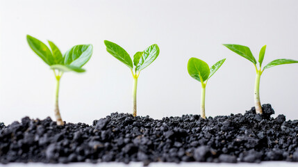 Success concept on white background growth.