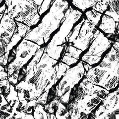 Black and white grungy abstract background. Vector illustration
