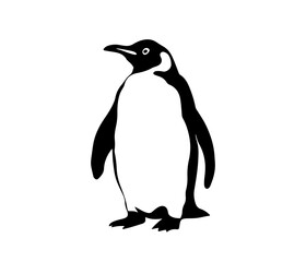 penguin vector icon logo cartoon character fish salmon illustration doodle