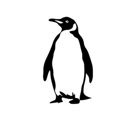 penguin vector icon logo cartoon character fish salmon illustration doodle