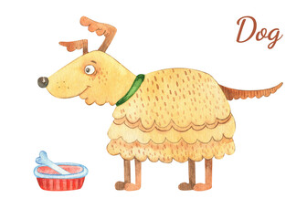 Set of watercolor illustrations of pets, accessories for dogs. Sofa, house, food, bowl, toys, bone. Pet store care, treatment, grooming, entertainment, feeding. Dog things.