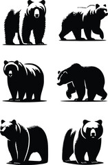 Bear silhouette, various poses of bear, standing, walking, sitting, wildlife, nature, animal, black, outline, wild, mammal, grizzly bear collection