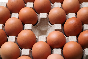 Fresh eggs in a brown paper egg tray.