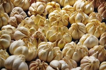 たくさんのニンニク