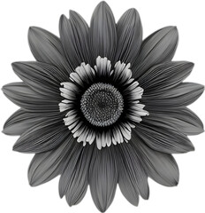 Elegant anemone flower illustration for projects. 