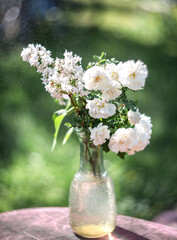 Bouquet of white flowers in a vase