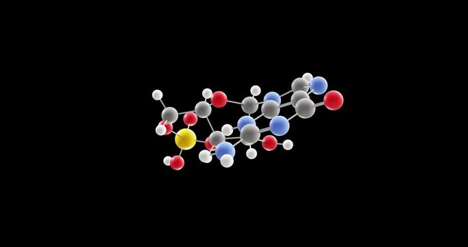 Cyclic guanosine monophosphate molecule, rotating 3D model of cgmp, looped video on a black background
