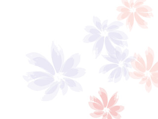 Falling cherry bloom flower parts. Soft peach or chinese cherry blossom petals.