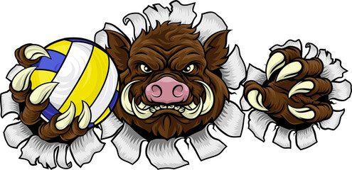 Boar Razorback Hog Volleyball Volley Ball Mascot