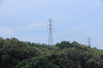 Electricity Power Supply in Nature. Vast power pylons reaching towards the sky, transmitting electricity through an overhead line of cables and trees below