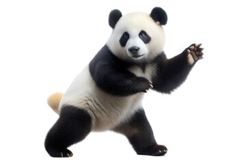 Fototapeta premium panda on a transparent background