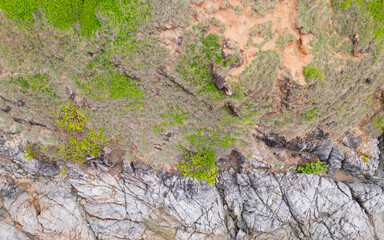 Top view Stones at seashore texture natural background