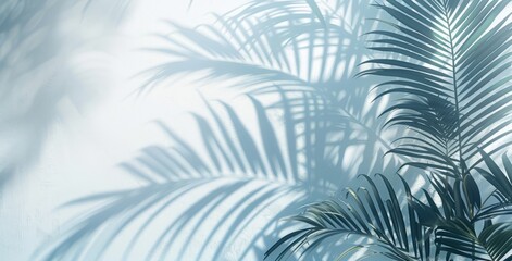 Close-up shadows of palm fronds on the water, blurred backgrounds and banners containing areas of replicated space. Soft blue style for summer concept.