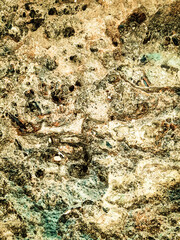 Coastal rocks and sea water as a natural background.