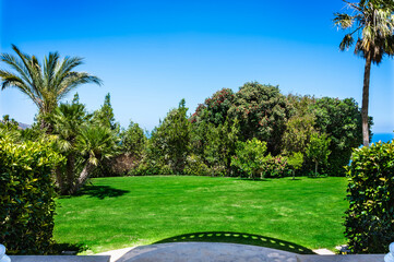 Fototapeta premium Green, well-maintained lawn and garden with beautiful palm trees. The scene is set on a sunny summer day with a clear blue sky, creating a vibrant and inviting atmosphere. Tropical feel of landscape