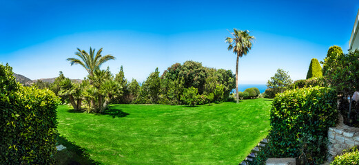 Green, well-maintained lawn and garden with beautiful palm trees. The scene is set on a sunny summer day with a clear blue sky, creating a vibrant and inviting atmosphere. Tropical feel of landscape
