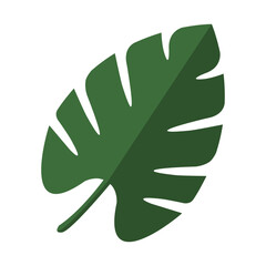 Palm tree leave, Monstera tropical plant on white background vector illustration