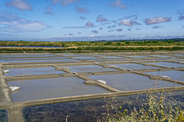 Marais salants de Guérande