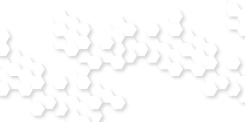 Abstract background with hexagon, modern abstract vector polygonal pattern. Futuristic abstract honeycomb technology white background. Luxury white hexagon pattern.