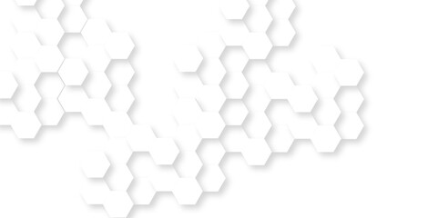 Fototapeta premium Abstract background with hexagon, modern abstract vector polygonal pattern. Futuristic abstract honeycomb technology white background. Luxury white hexagon pattern.