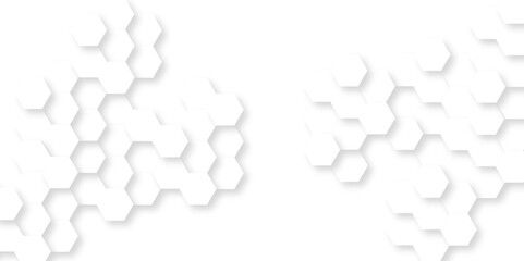 Abstract background with hexagon, modern abstract vector polygonal pattern. Futuristic abstract honeycomb technology white background. Luxury white hexagon pattern.
