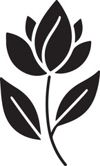  Flower  silhouettes hand drawn floral design is elements, icons, shapes. Wild and garden flowers, leaves black and white outline illustrations on transparent background.