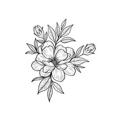 Vector illustration of a delicate peony flower. A hand-drawn peony on a transparent background. Flowers for creating postcards, floral patterns and ornaments, coloring books, tattoos