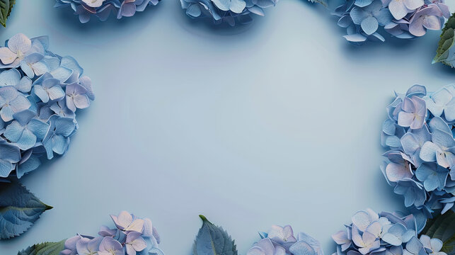 blue hydrangea flowers frame