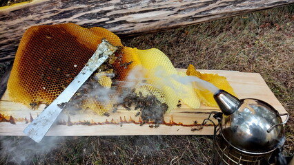 honey comb and a bee working,Close Up Of Bees On Honeycomb In Apiary