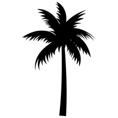 Obraz premium Palm trees silhouettes tropical summer. Palm tree icon.