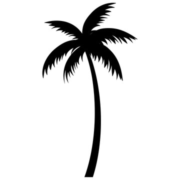 recommend clip art: Palm trees silhouettes tropical summer. Palm tree icon.