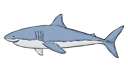 Great white shark sticker png