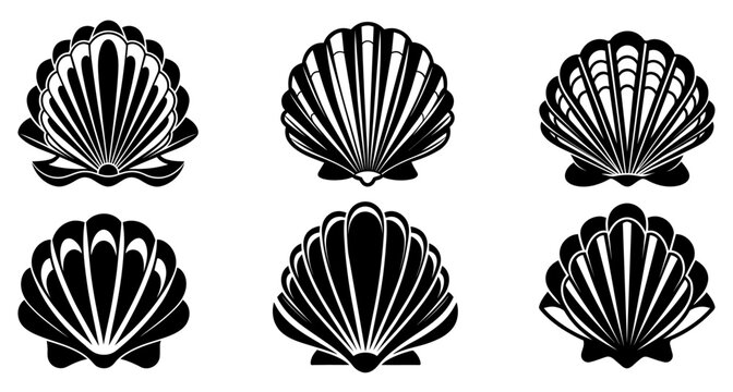 Sea shell icon. Set of pearl shell icons. Vector illustration. Shell vector icons. Black seashell icons