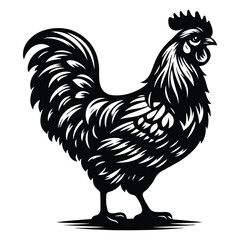 rooster chicken isolated on white background vector silhouette