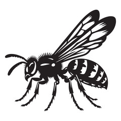 Wasp vector silhouette